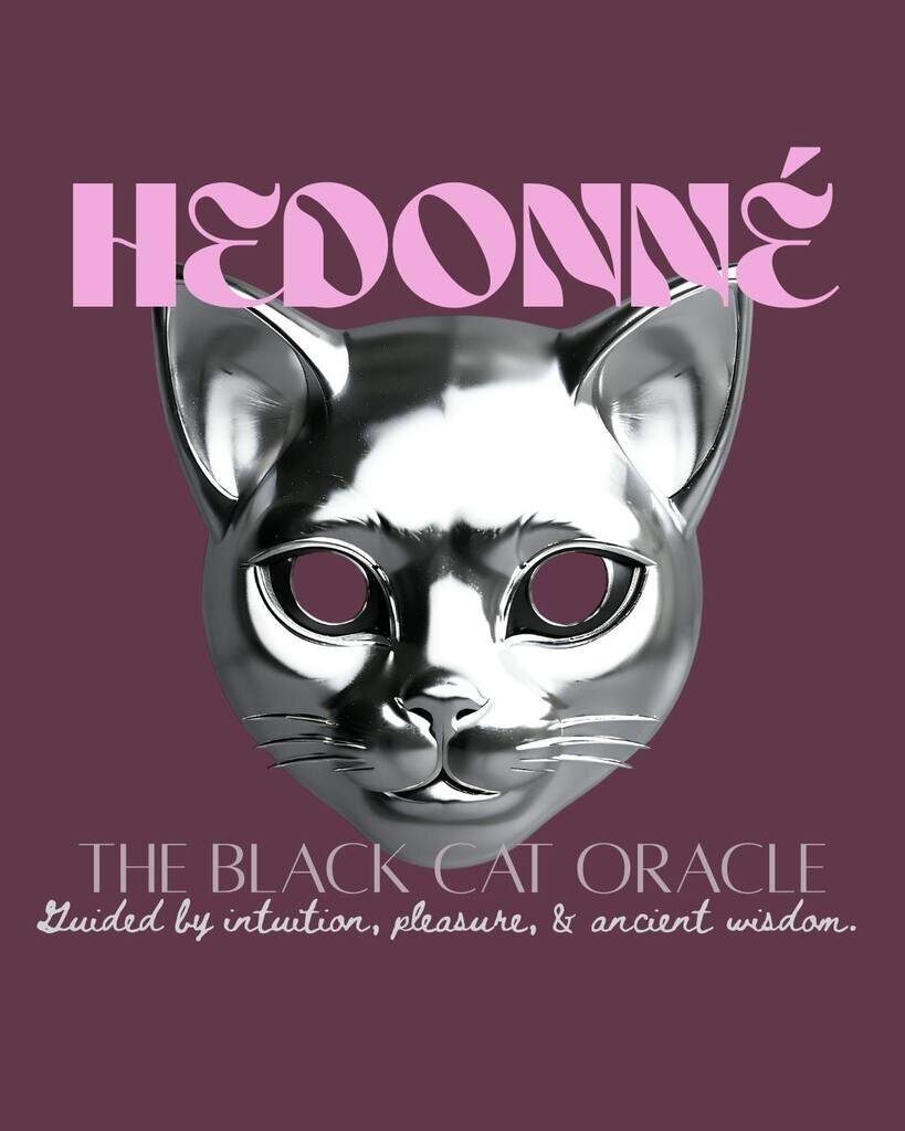 The Black Cat Oracle: A Spiritual Sanctuary for the Sensitiv