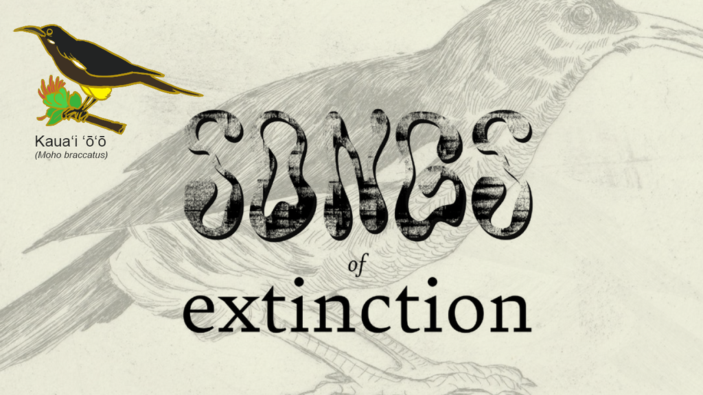 Songs of extinction - extinct bird pins