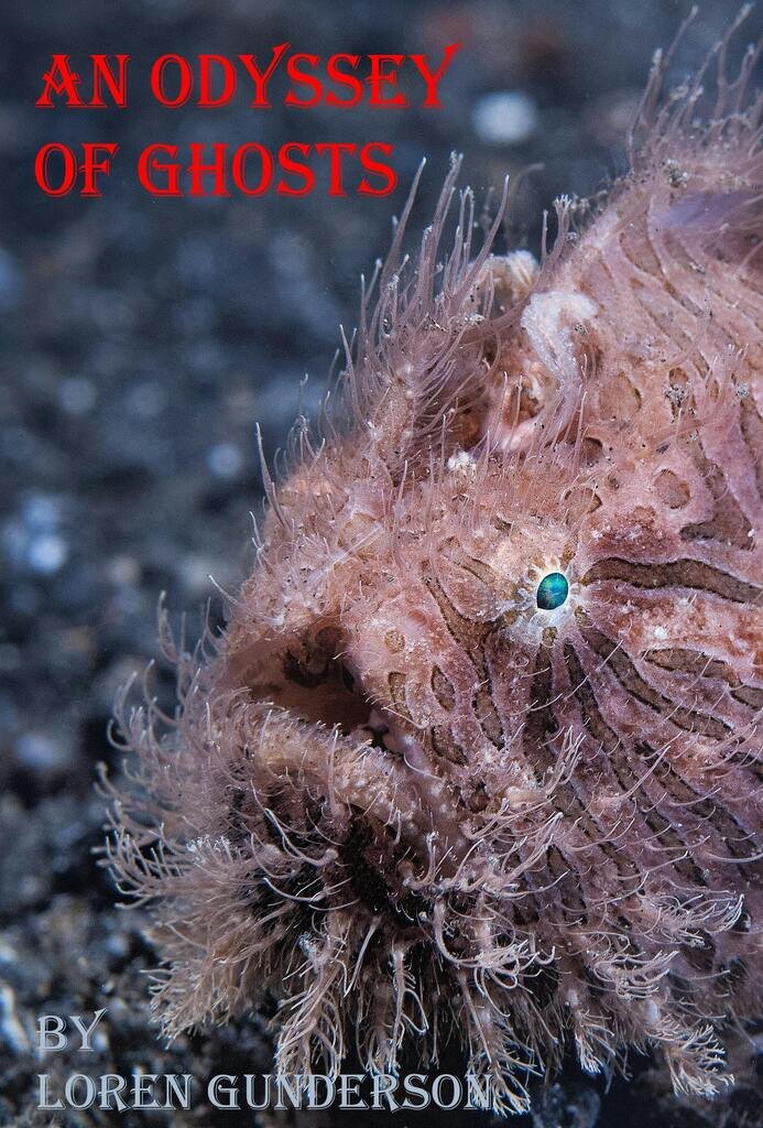 Odyssey of Ghosts