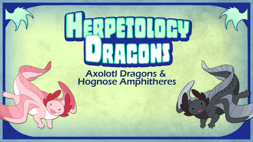 Herpetology Dragons
