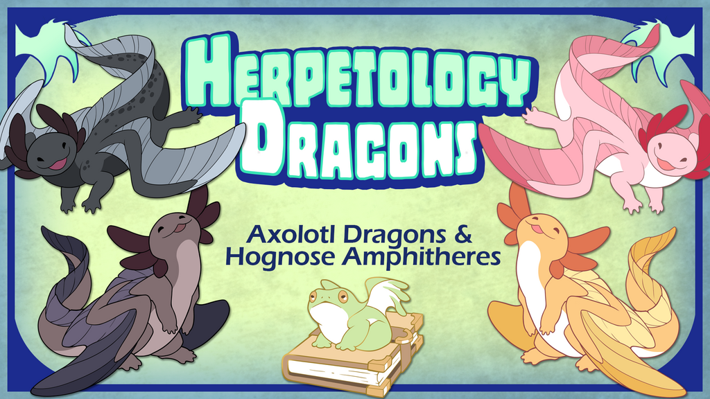 Herpetology Dragons: Axolotl Dragons & Hognose Amphitheres