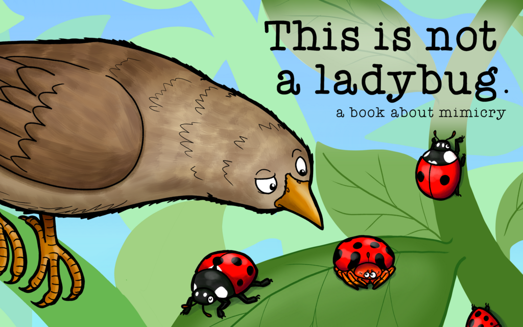 This Is Not A Ladybug - A book about mimicry