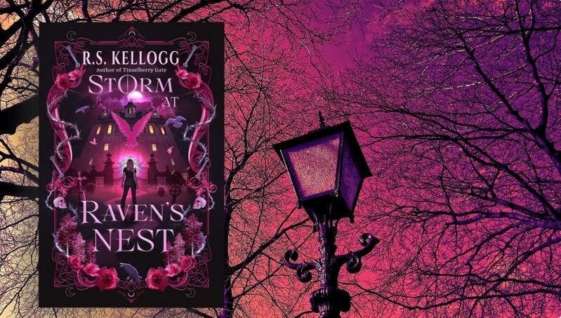 Storm at Raven's Nest: A forced proximity gothic romance