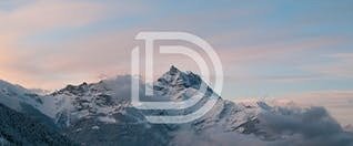 AI Workshop
