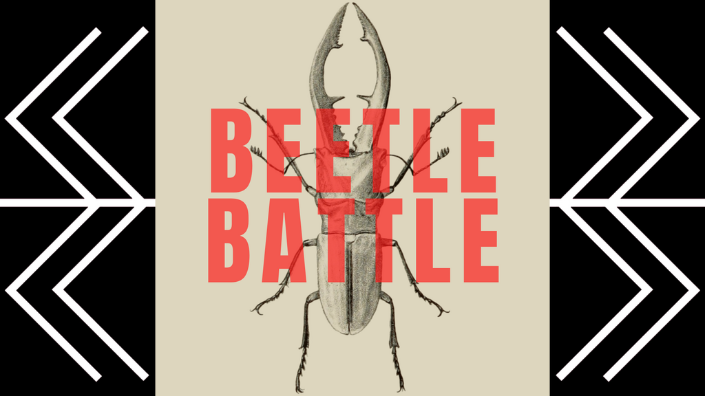 Beetle Battle - Dueling Card Game