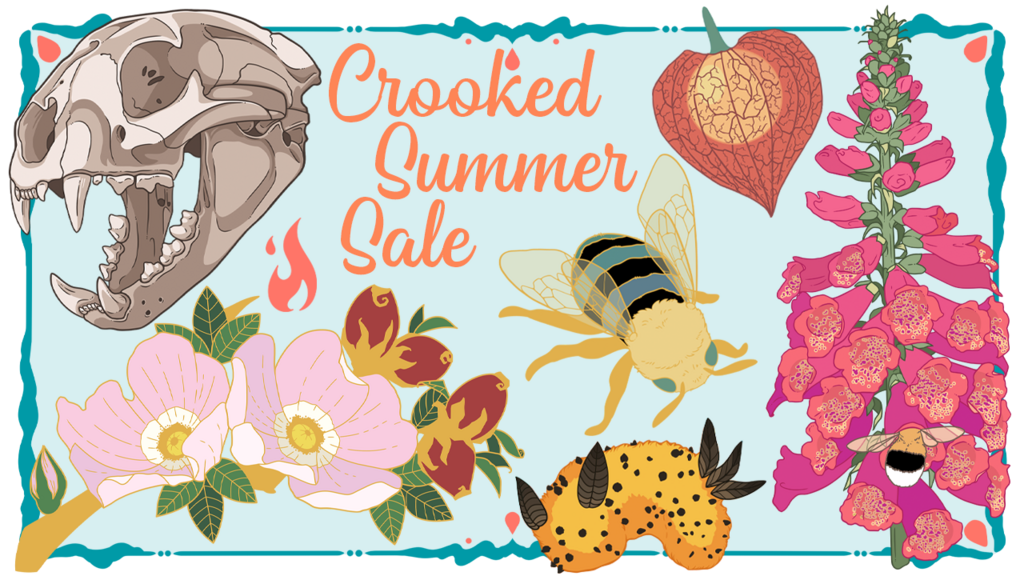 Crooked Summer Sale