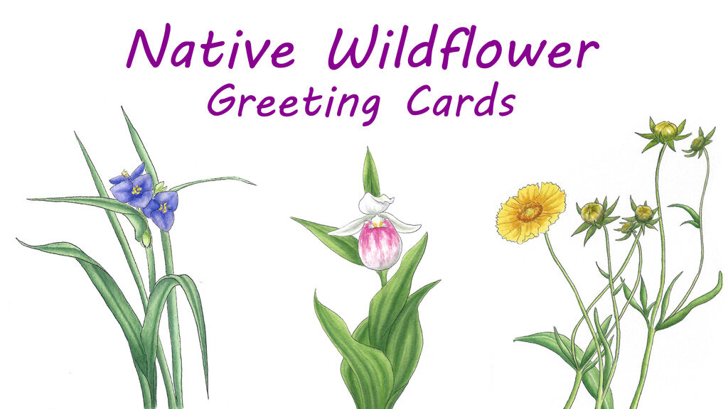 Native Wildflower Greeting Cards