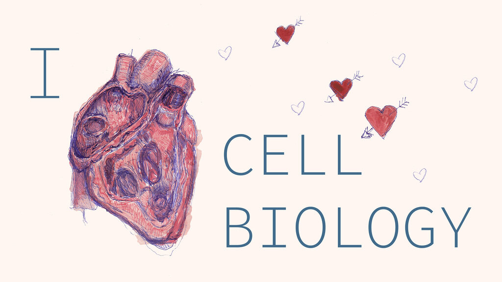 I Heart Cell Biology