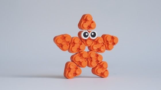 Flexo Construction Bricks with new shapes and colors!