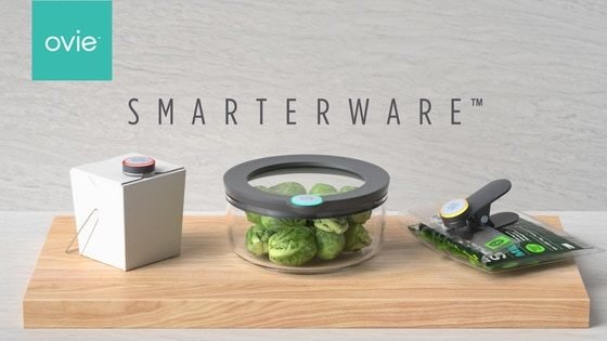 Ovie Smarterware: The First Connected Food Storage System