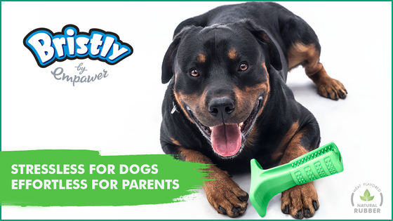 Bristly - World's Most Effective Toothbrush for Dogs