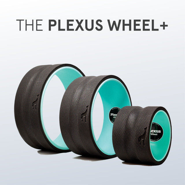 Plexus Wheel Plus - The Simplest Back Pain Relief