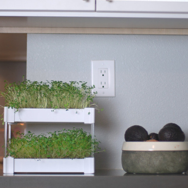 EcoQube Sprout