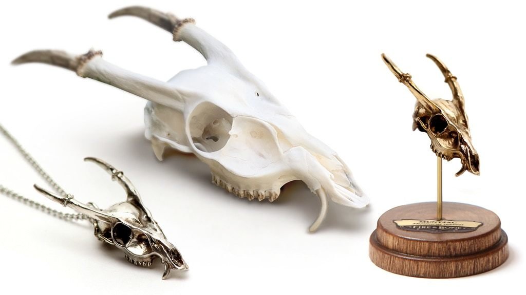 FIRE & BONE 7: Tiny, Digitally Captured, Metal Animal Skulls