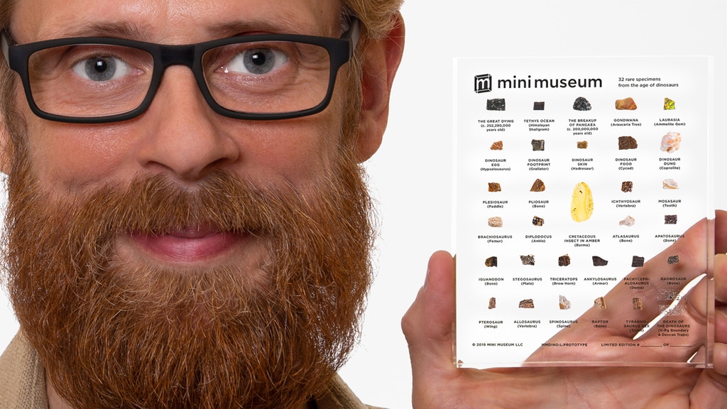 Mini Museum Age of Dinosaurs