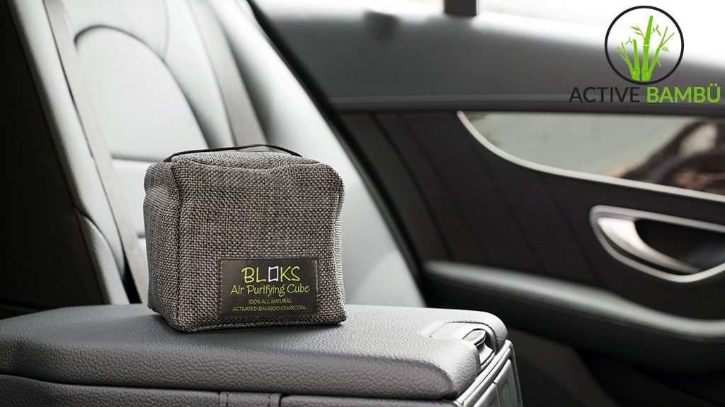 BLOKS Air Purifying Bamboo Charcoal Cubes