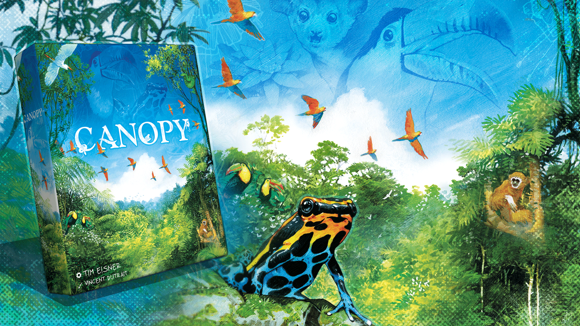Canopy