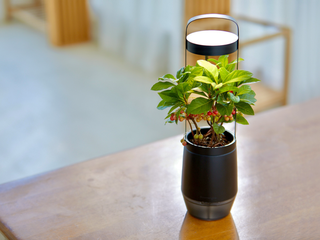 s•pot: Help Your Small Indoor Plant Grow In Ideal Conditions