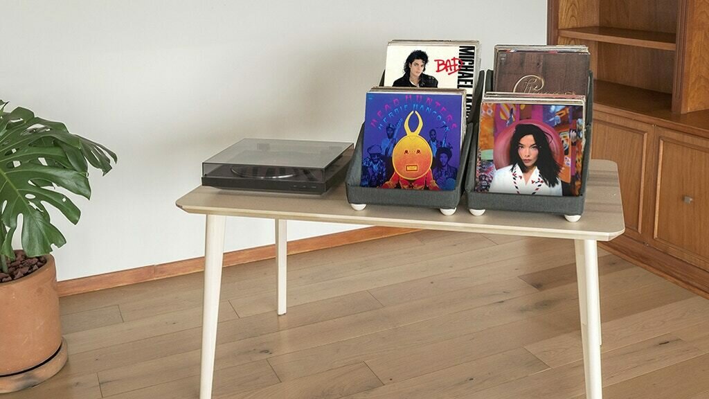 RECORD ROOTS: Vinyl Record Tabletop Storage System