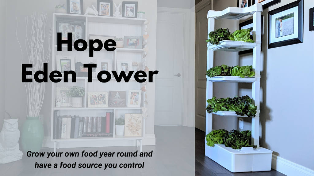 The Eden Tower