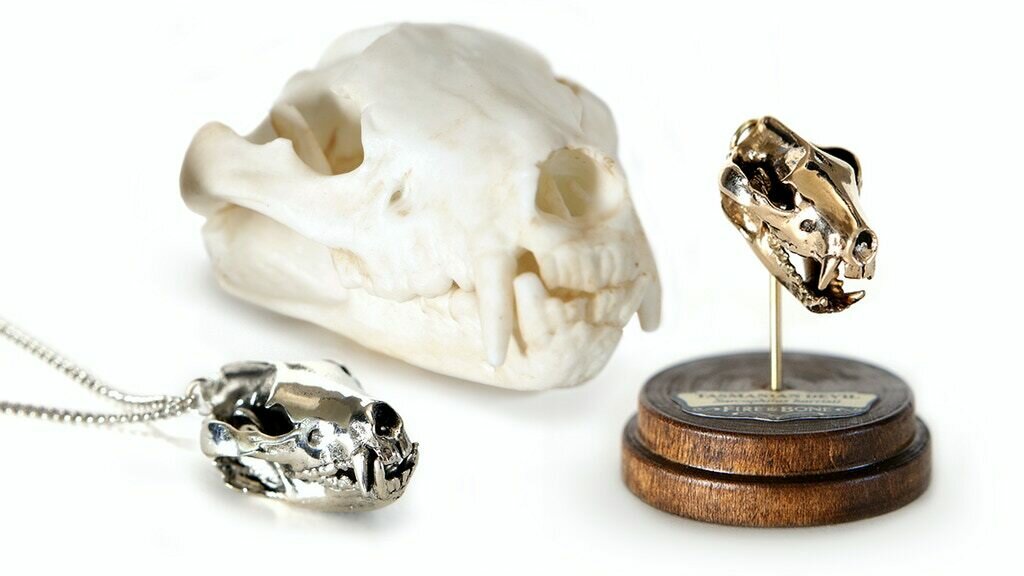 FIRE & BONE 9: Tiny, Digitally Captured, Metal Animal Skulls