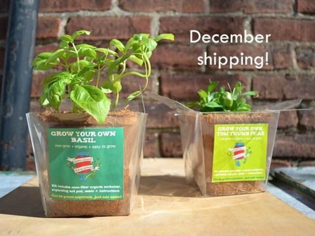 Takeout Grow Kits: Grow Fresh Organic Food Anywhere