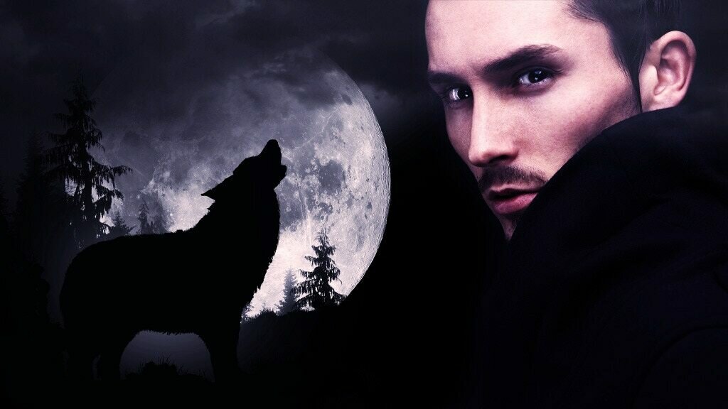 Hungry for the Wolf: a new paranormal romance novel