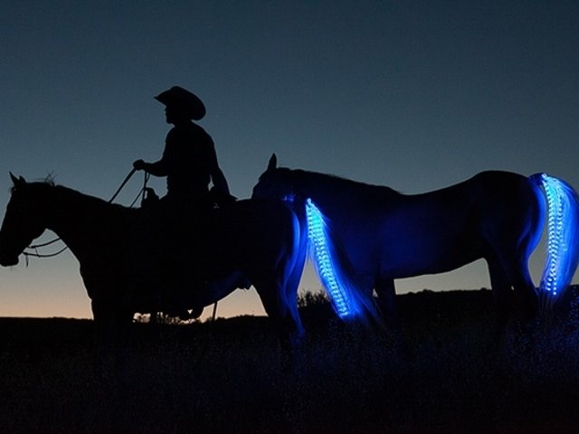 Tail Lights Rider Safety System