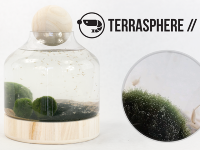 TerraSphere Zero: Self-Sustaining Terrariums