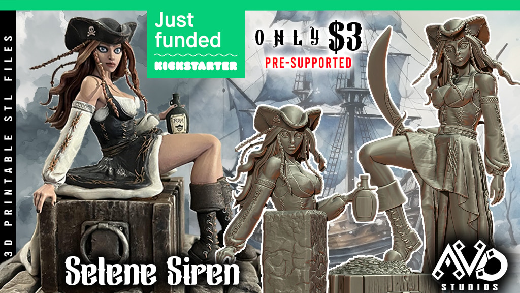 Selene Siren - Pirate Pin Up 3D Printable STL files DnD