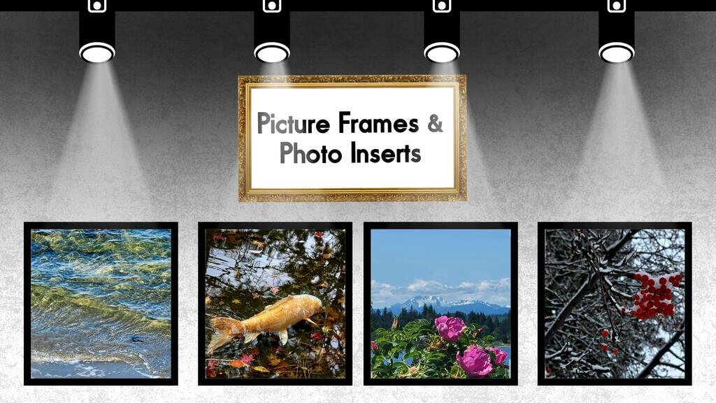 Picture Frame Pins