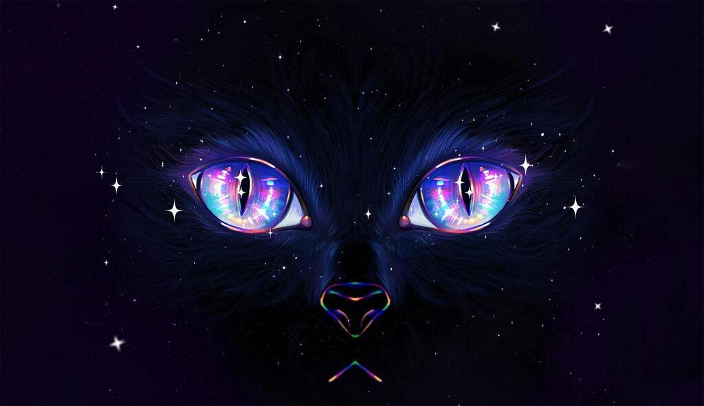 Cats Among The Cosmos