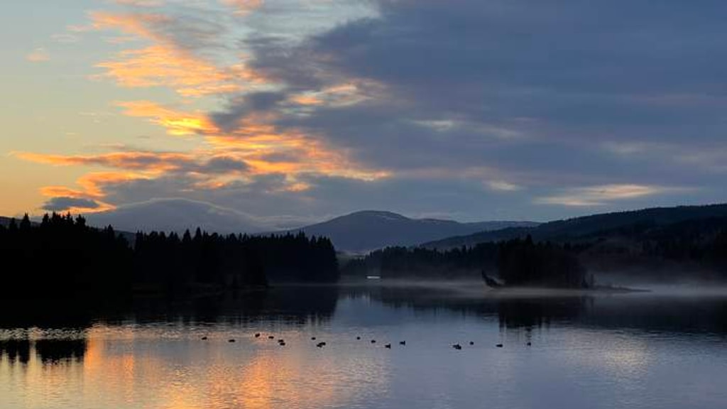 Wall calendar 2022 Sweden and/or follow the Wild deer family